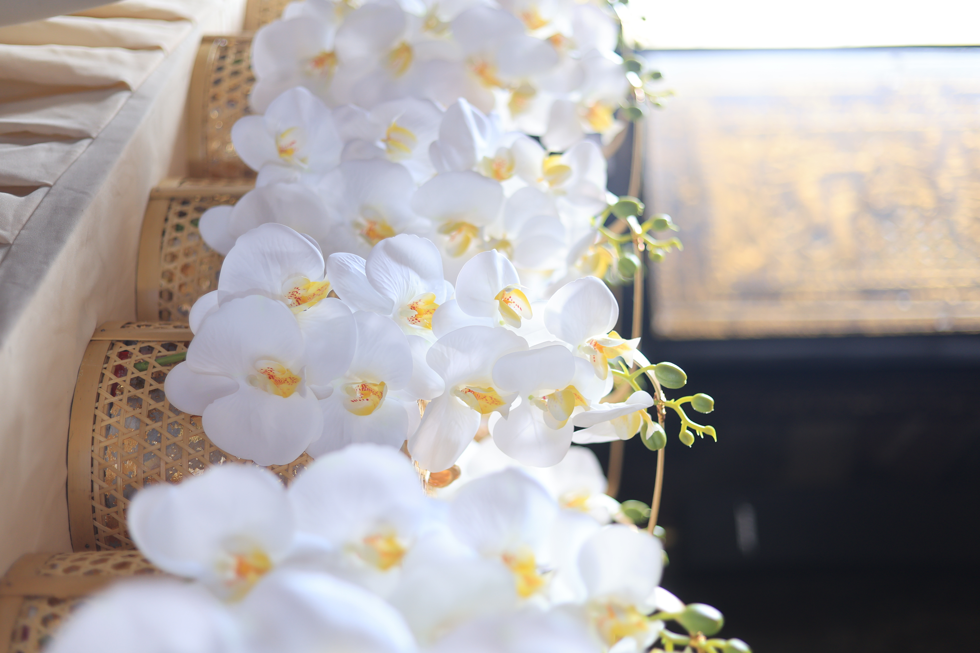 title - ส.ป.ก. ร่วมพิธีสวดพระพุทธมนต์ถวายเป็นพระราชกุศล เนื่องในวันคล้ายวันสวรรคตสมเด็จพระนางเจ้าสิริกิติ์ พระบรมราชินีนาถ พระบรมราชชนนีพันปีหลวง 24 ตุลาคม 2569